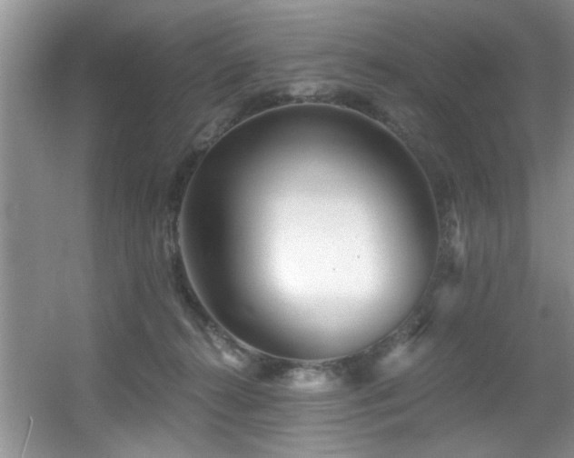 X0000056020272200508221528