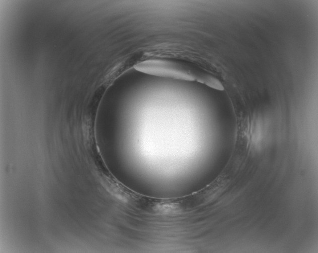 X0000056020283200508221529