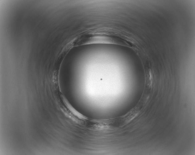 X0000056020284200508221529