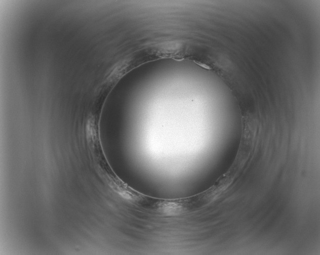 X0000056020287200508221529