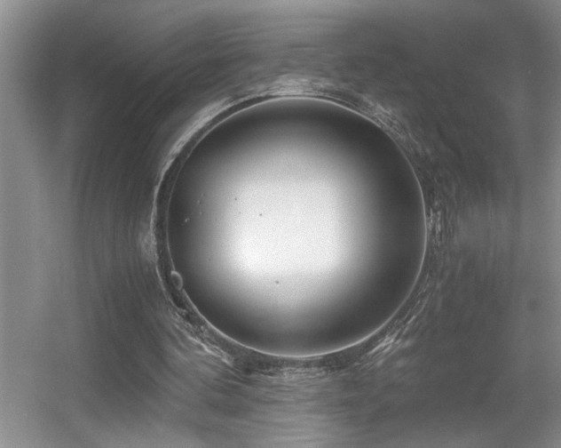X0000056020292200508221528