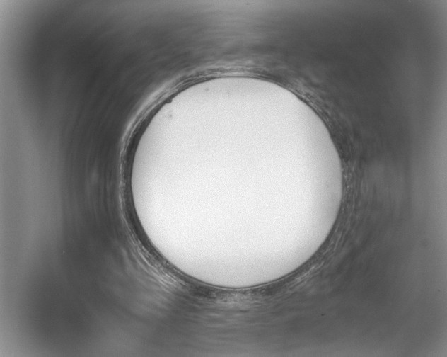 X0000056020293200508221528
