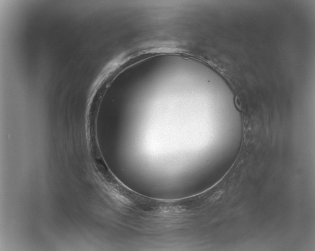 X0000056020296200508221528