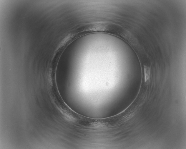 X0000056020300200508221528