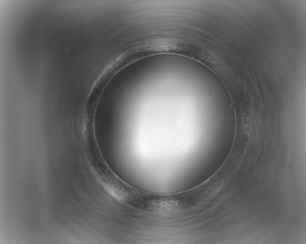 X0000056020304200508221528