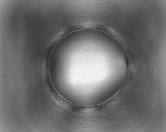 X0000056020306200508221528