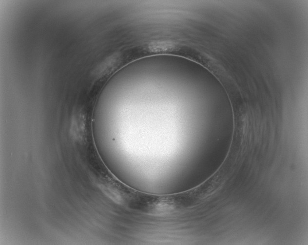 X0000056020308200508221528