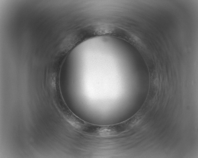 X0000056020315200508221527