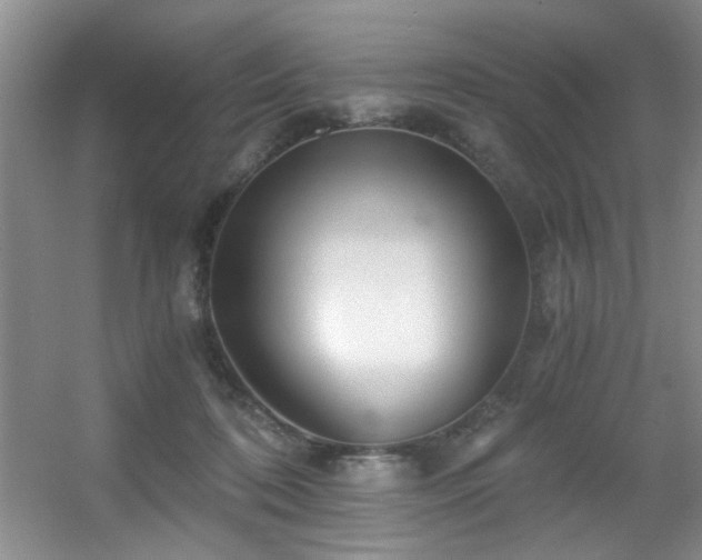 X0000056020316200508221527