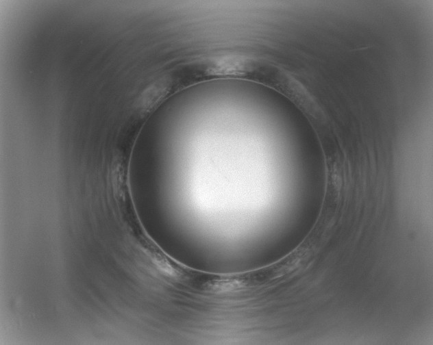 X0000056020322200508221527