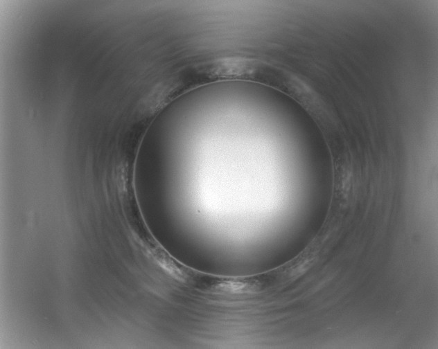 X0000056020326200508221527