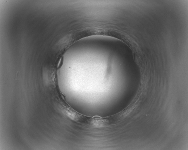 X0000056020336200508221527