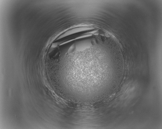 X0000056020337200508221526