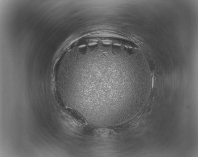 X0000056020339200508221526
