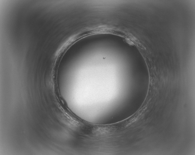 X0000056020341200508221526