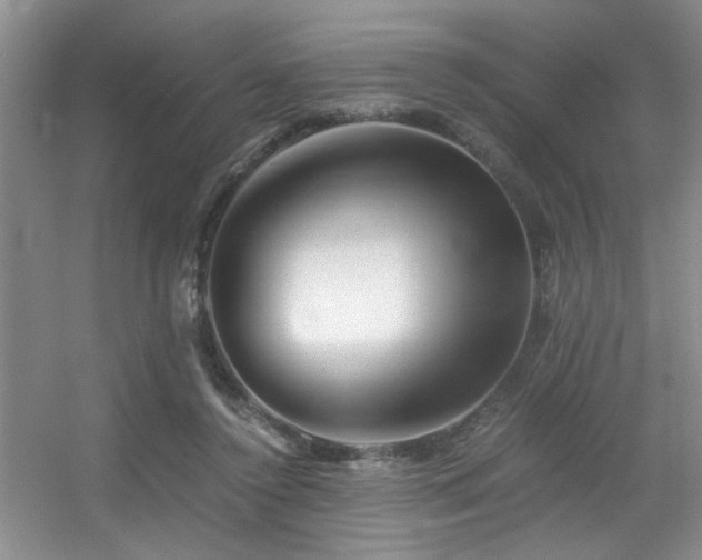 X0000056020356200508221527