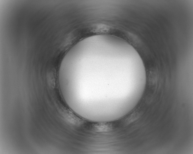 X0000056020370200508221527