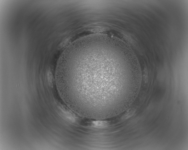 X0000056020371200508221527