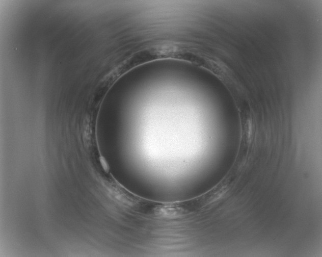 X0000056020372200508221527