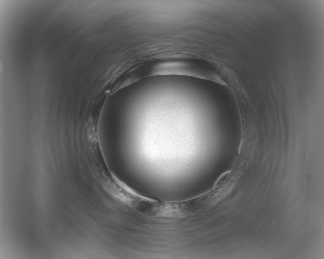 X0000056020384200508221527