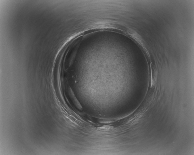X0000056020387200508221526