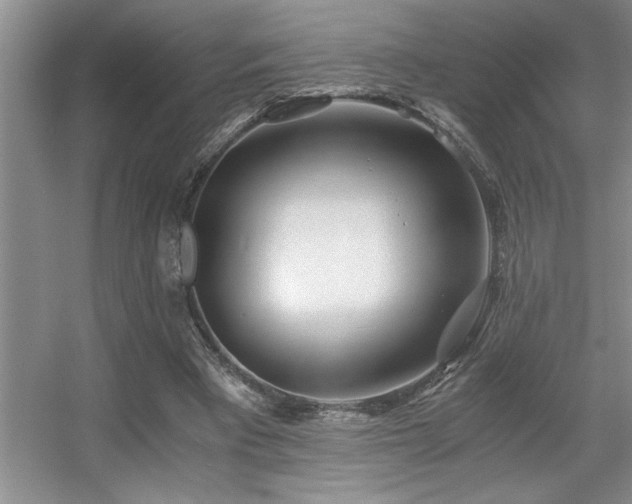 X0000056020393200508221526