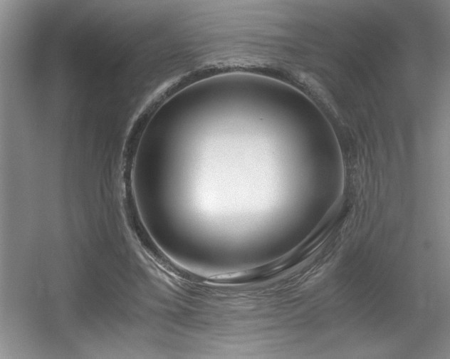 X0000056020395200508221526
