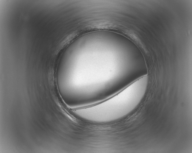 X0000056020397200508221526