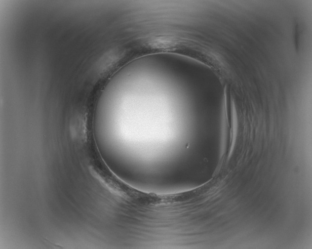 X0000056020404200508221526
