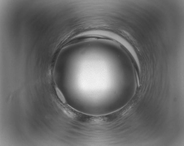 X0000056020405200508221526