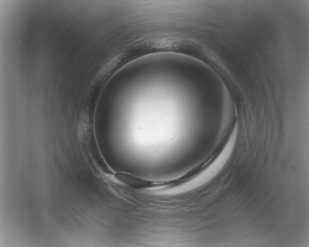 X0000056020407200508221526