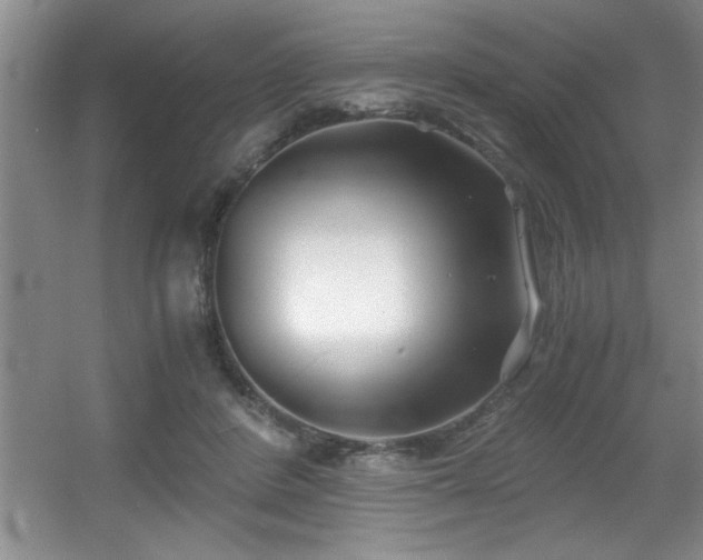 X0000056020408200508221526