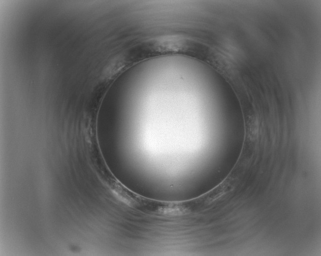 X0000056020414200508221526