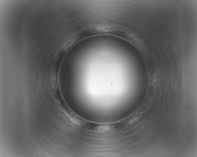 X0000056020418200508221526