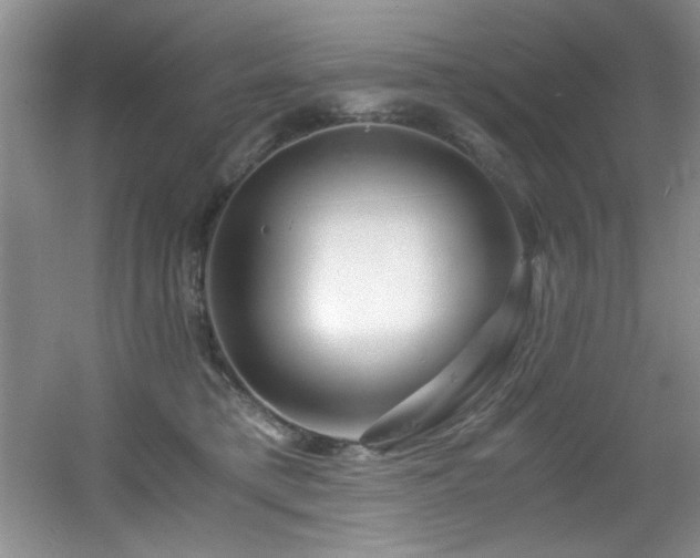 X0000056020421200508221526