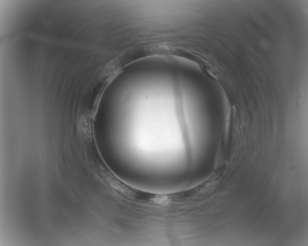 X0000056020425200508221526