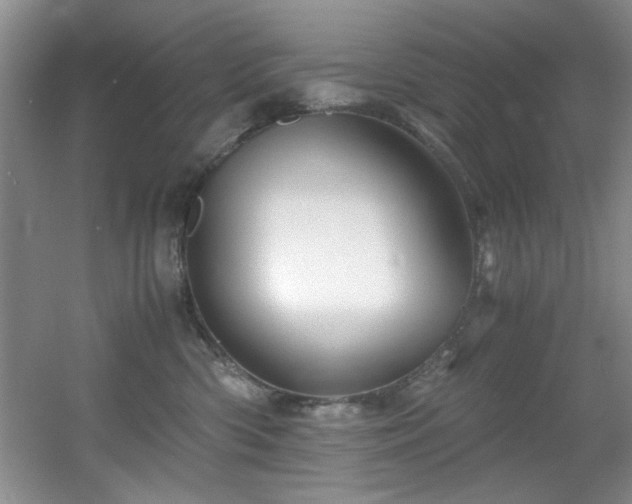 X0000056020426200508221526
