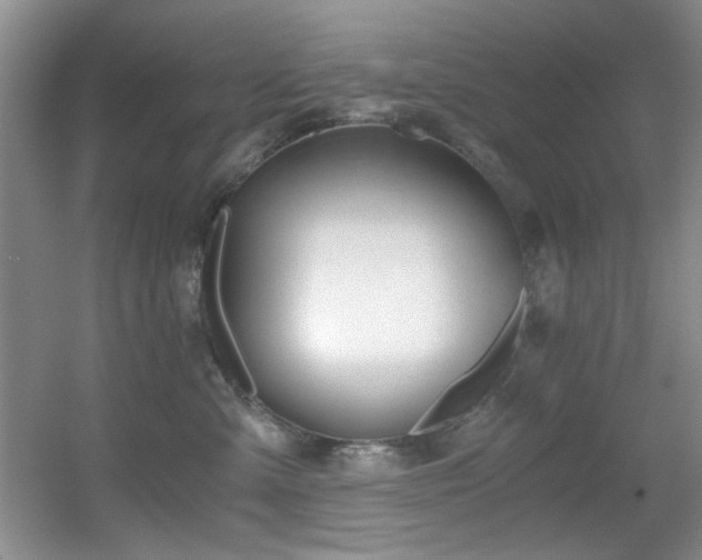 X0000056020427200508221526