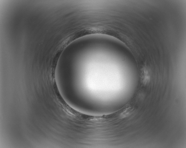 X0000056020428200508221526