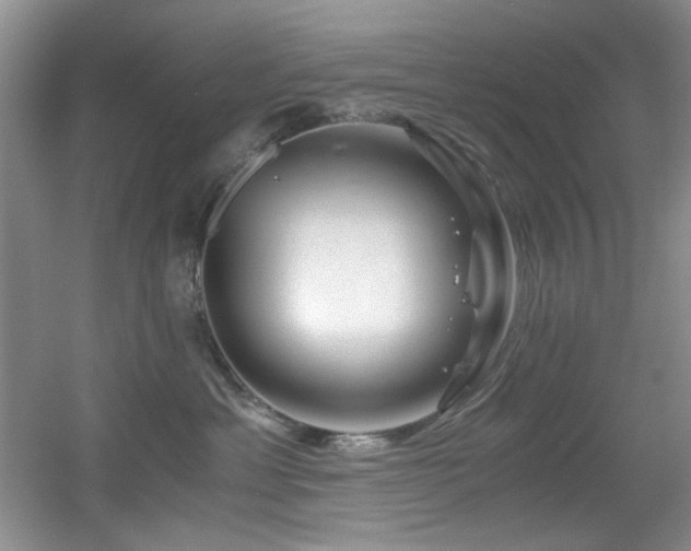 X0000056020429200508221526