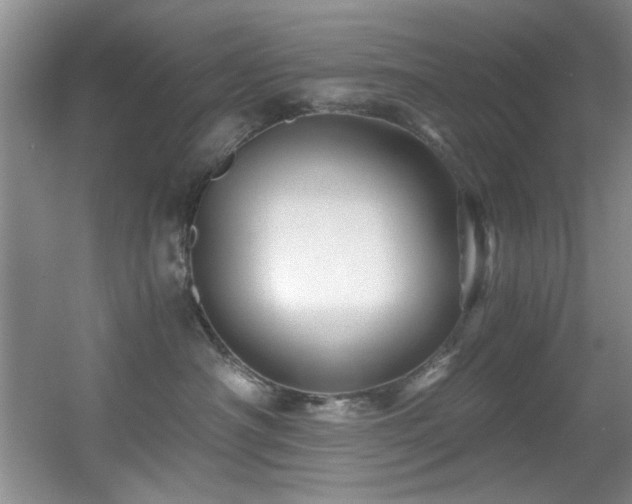 X0000056020430200508221526