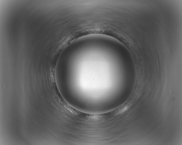 X0000056020432200508221525