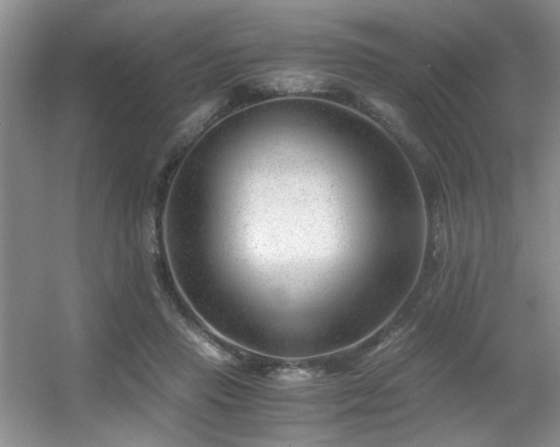 X0000056020453200508221525