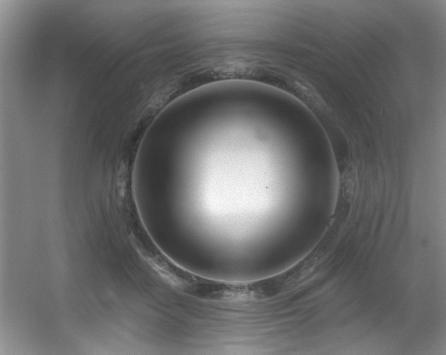 X0000056020458200508221525
