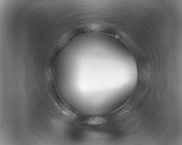 X0000056020459200508221525