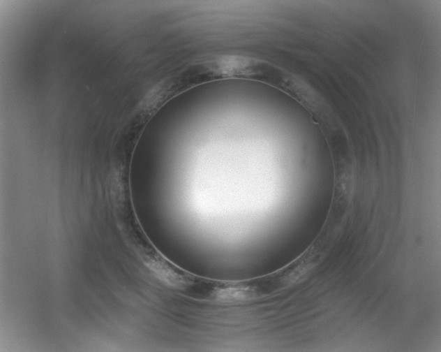 X0000056020461200508221525