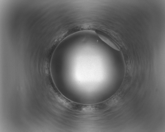 X0000056020470200508221525