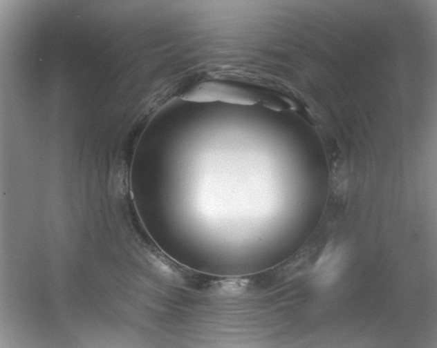 X0000056020474200508221525