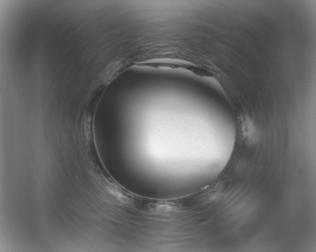 X0000056020475200508221525
