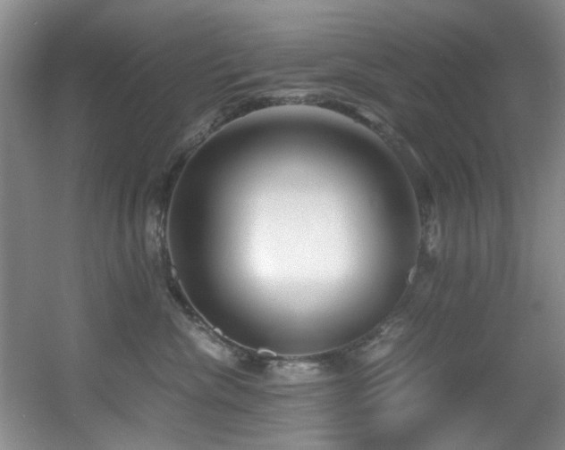 X0000056020476200508221525